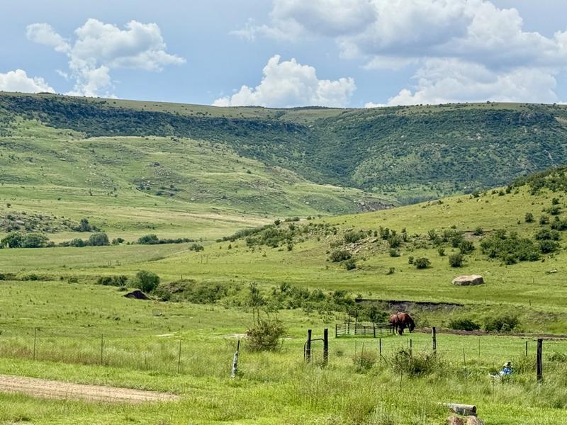 0 Bedroom Property for Sale in Harrismith Free State
